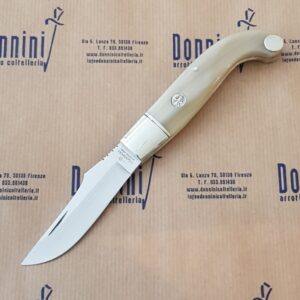 Consigli Fiorentino