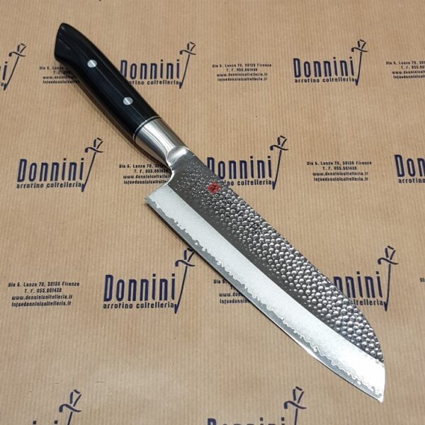 Kasumi H.M. Santoku